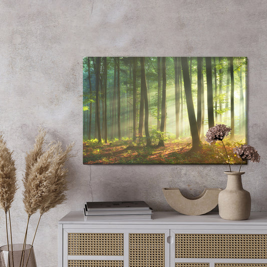 Obraz Na Płótnie Piękny Poranek W Lesie