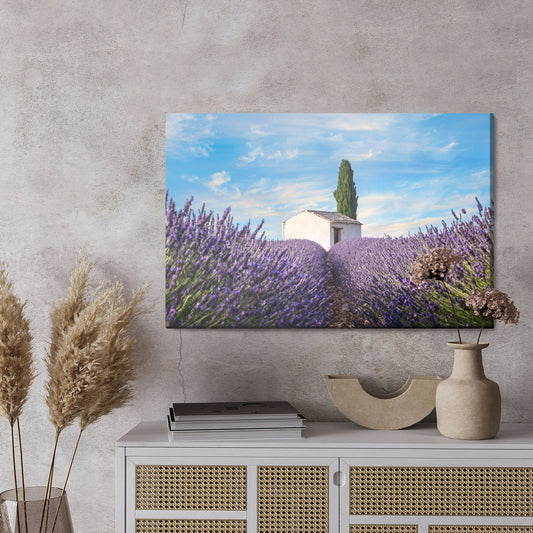 Obraz Na Płótnie Piękne Kwiaty Lawendy