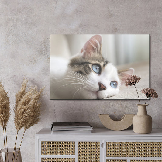 Obraz Na Płótnie Rozmarzony Kotek