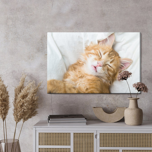 Obraz Na Płótnie Rudy Śpiący Kotek