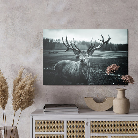 Obraz Na Płótnie Czarno-Biały Jeleń