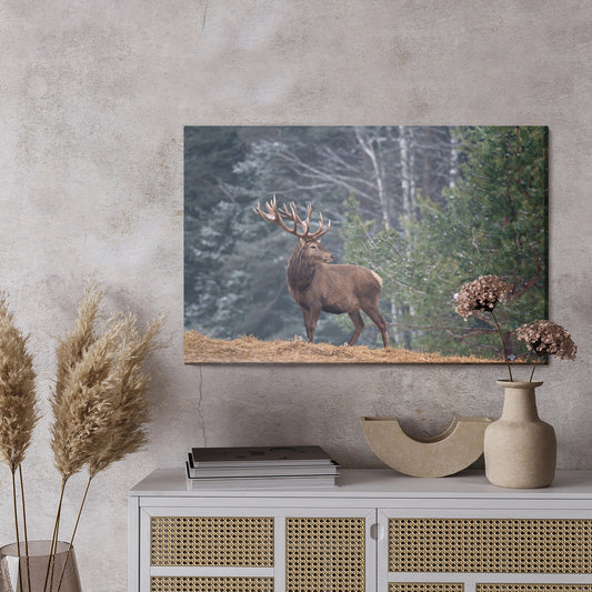 Obraz Na Płótnie Okazały Jeleń W Lesie