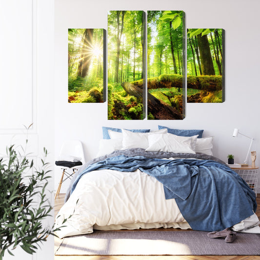 Obraz Wieloczęściowy Promienie Słońca W Lesie 3D