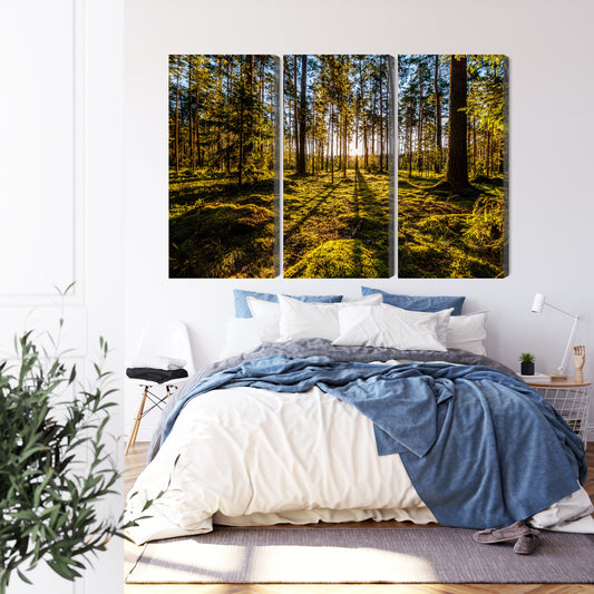 Obraz Wieloczęściowy Poranne Promienie Słońca W Lesie