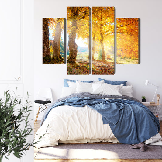 Obraz Wieloczęściowy Słoneczny Las Jesienią
