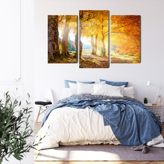 Obraz Wieloczęściowy Słoneczny Jesienny Las