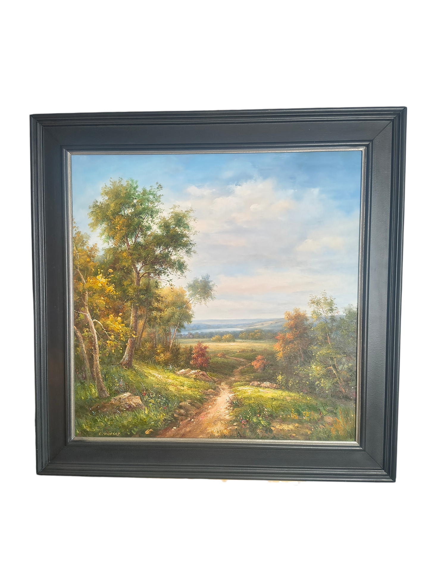 Sielski Krajobraz – Droga przez Łąki