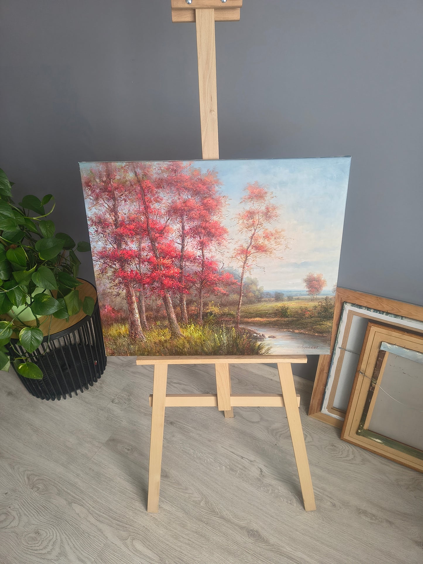 Herbstliches Flussufer