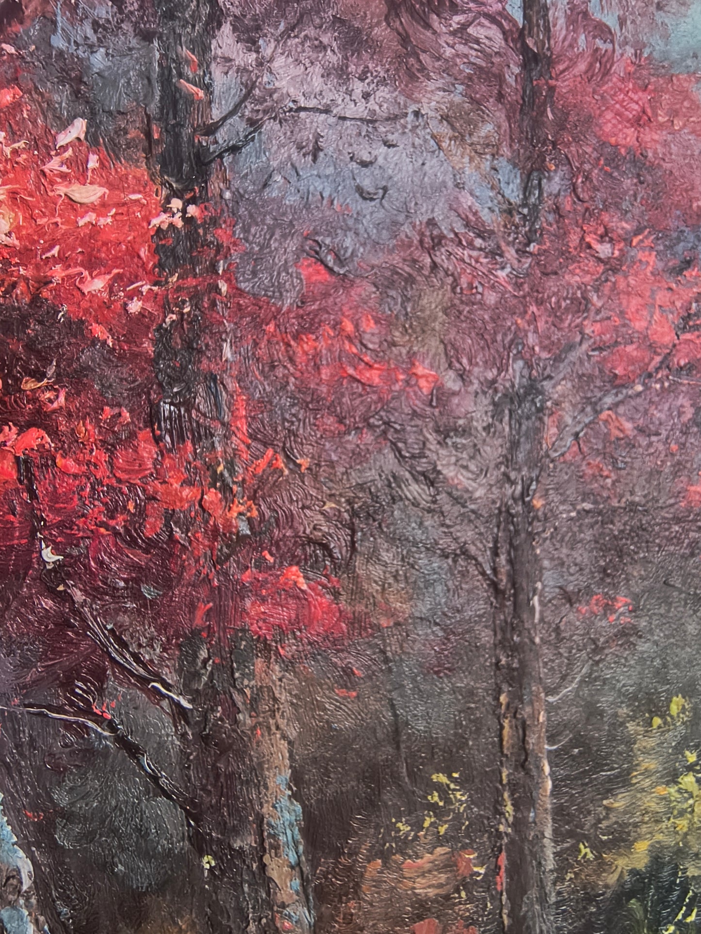 Herbstliches Flussufer