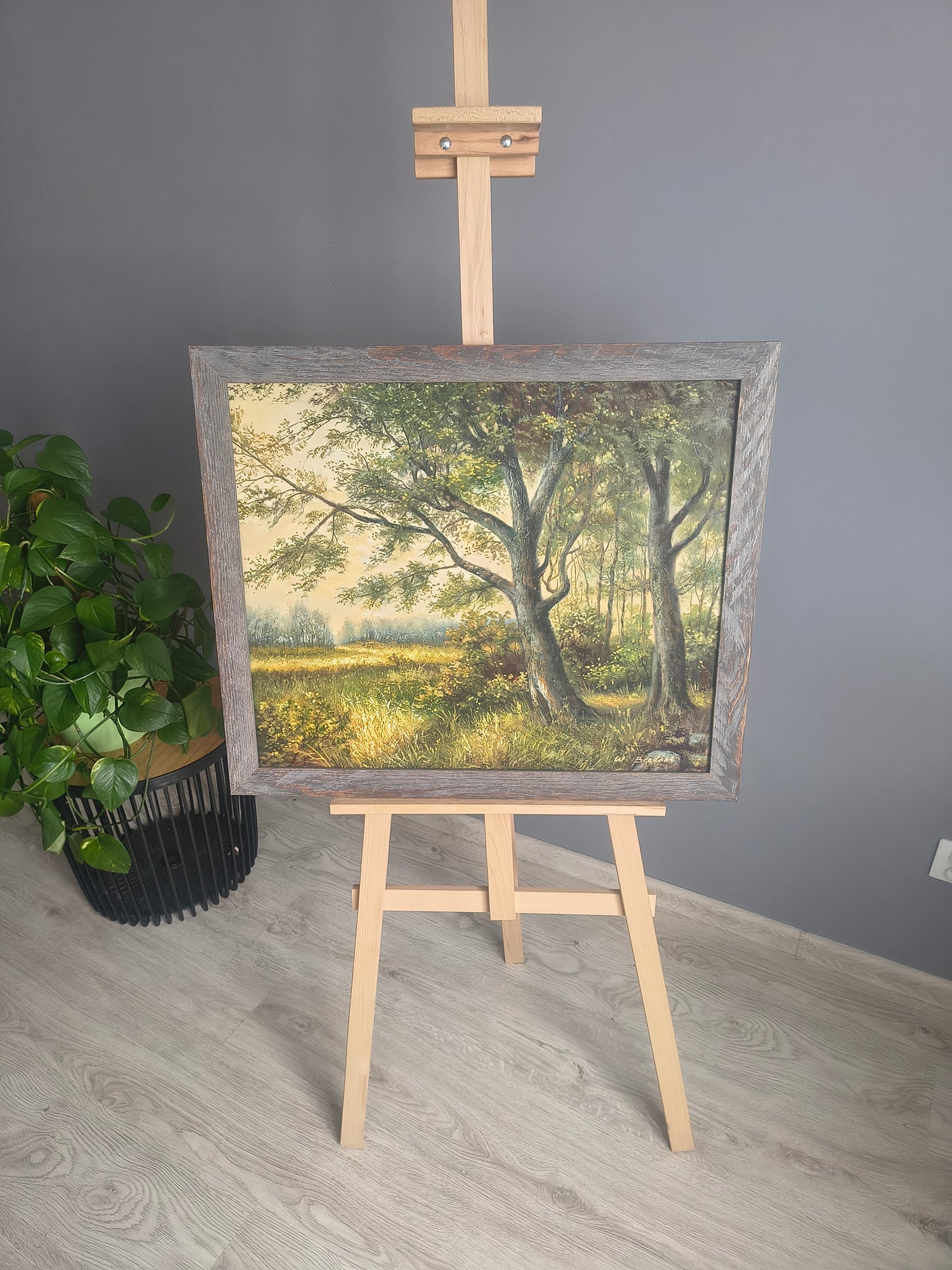 Poranek w Lesie – Słoneczna Polana