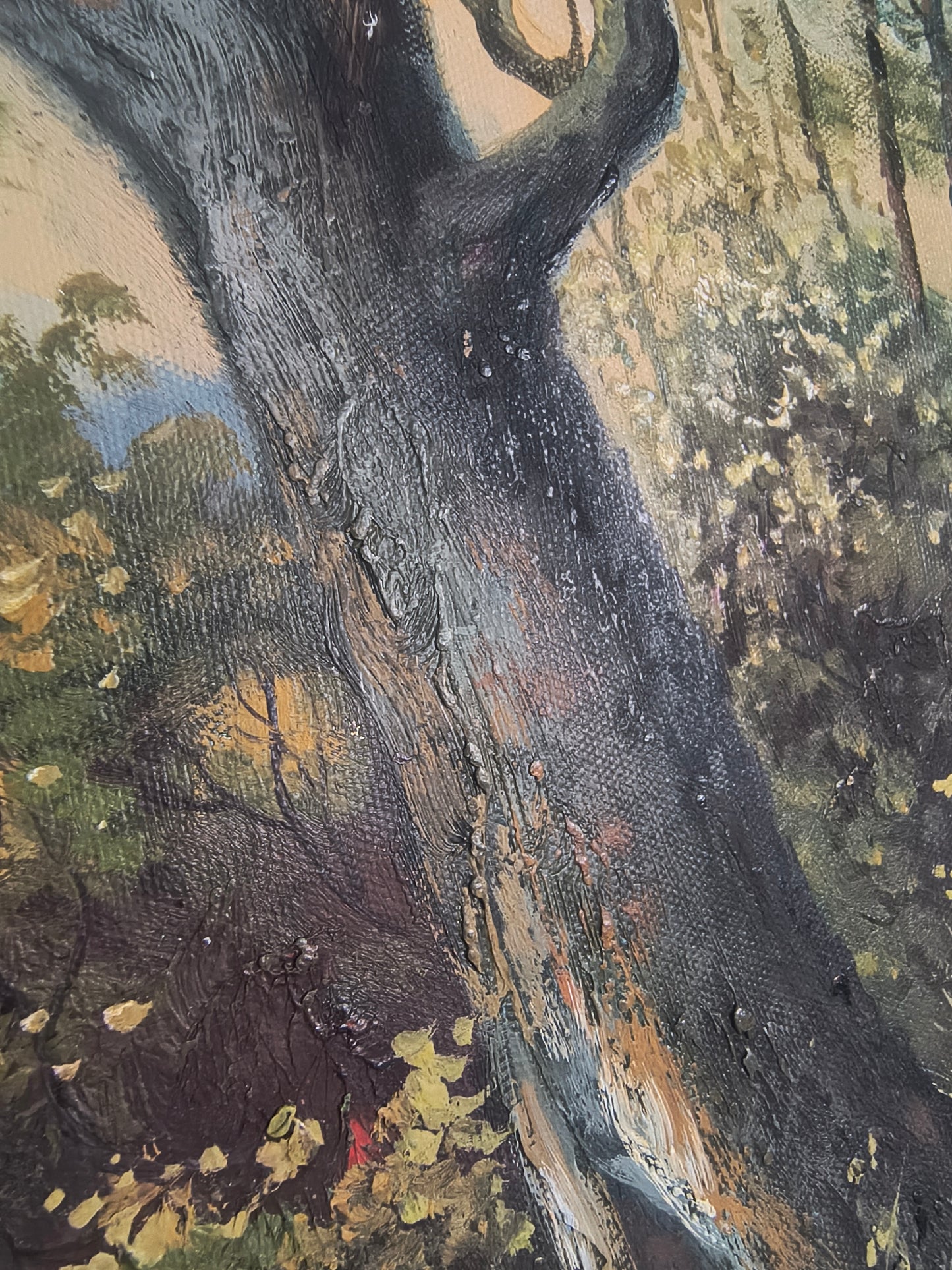 Poranek w Lesie – Słoneczna Polana