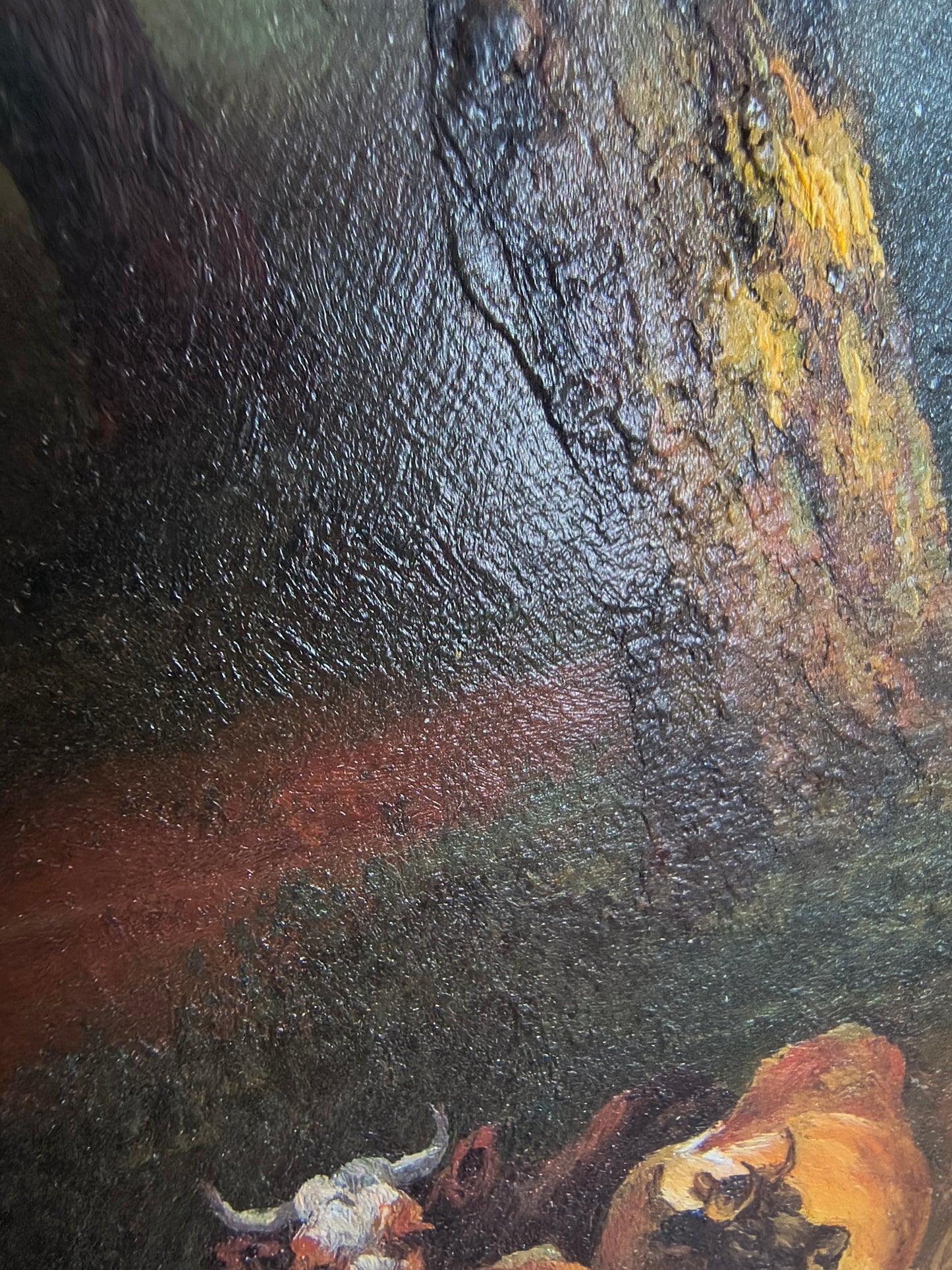 Weide am See – Idyllische Landschaft