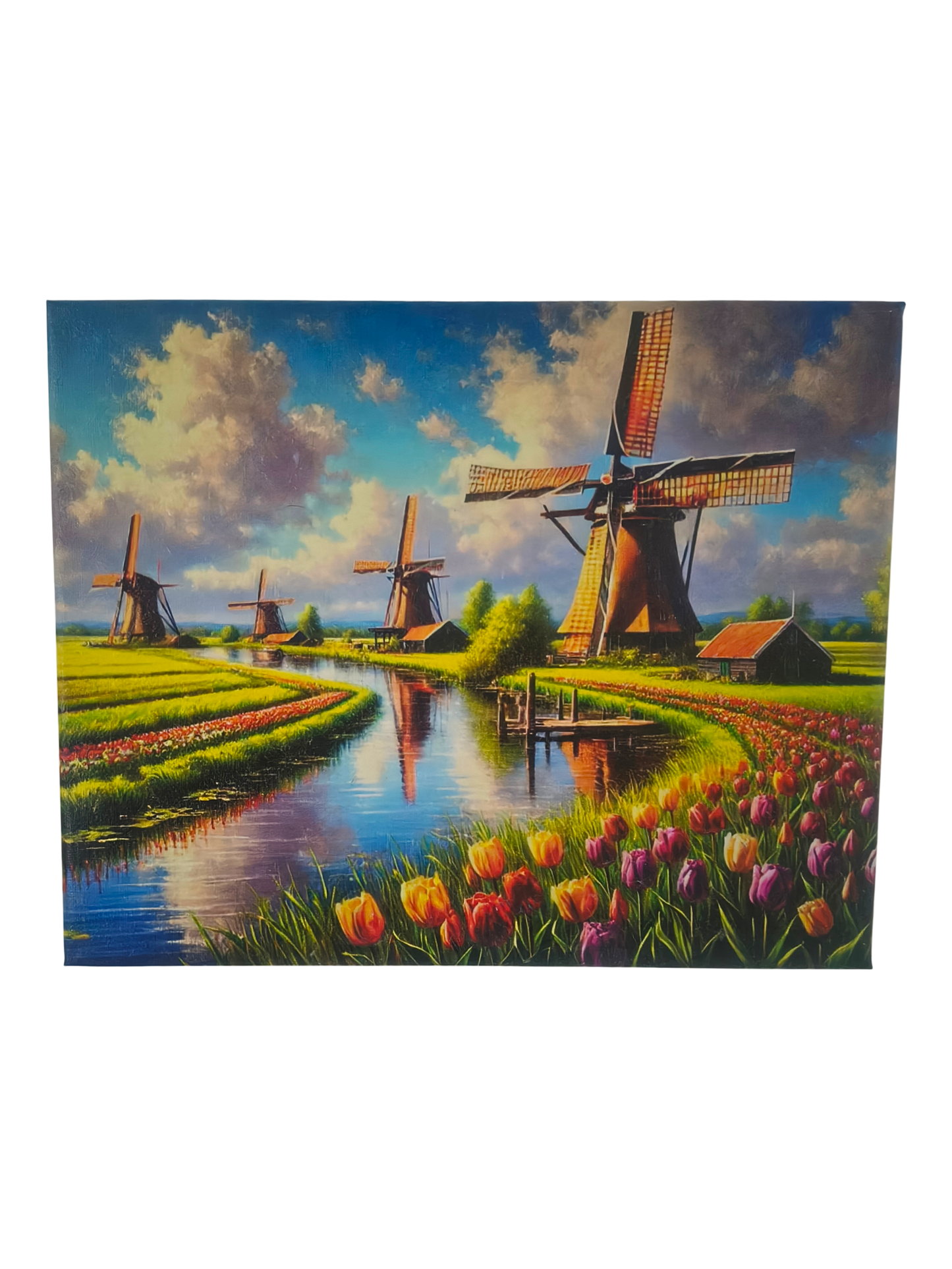 Holenderskie Pola Tulipanów – Sielankowy Pejzaż z Wiatrakami