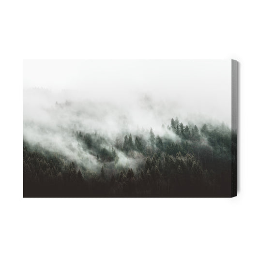 Obraz Na Płótnie Moody Forest Landscape With Fog And Mist