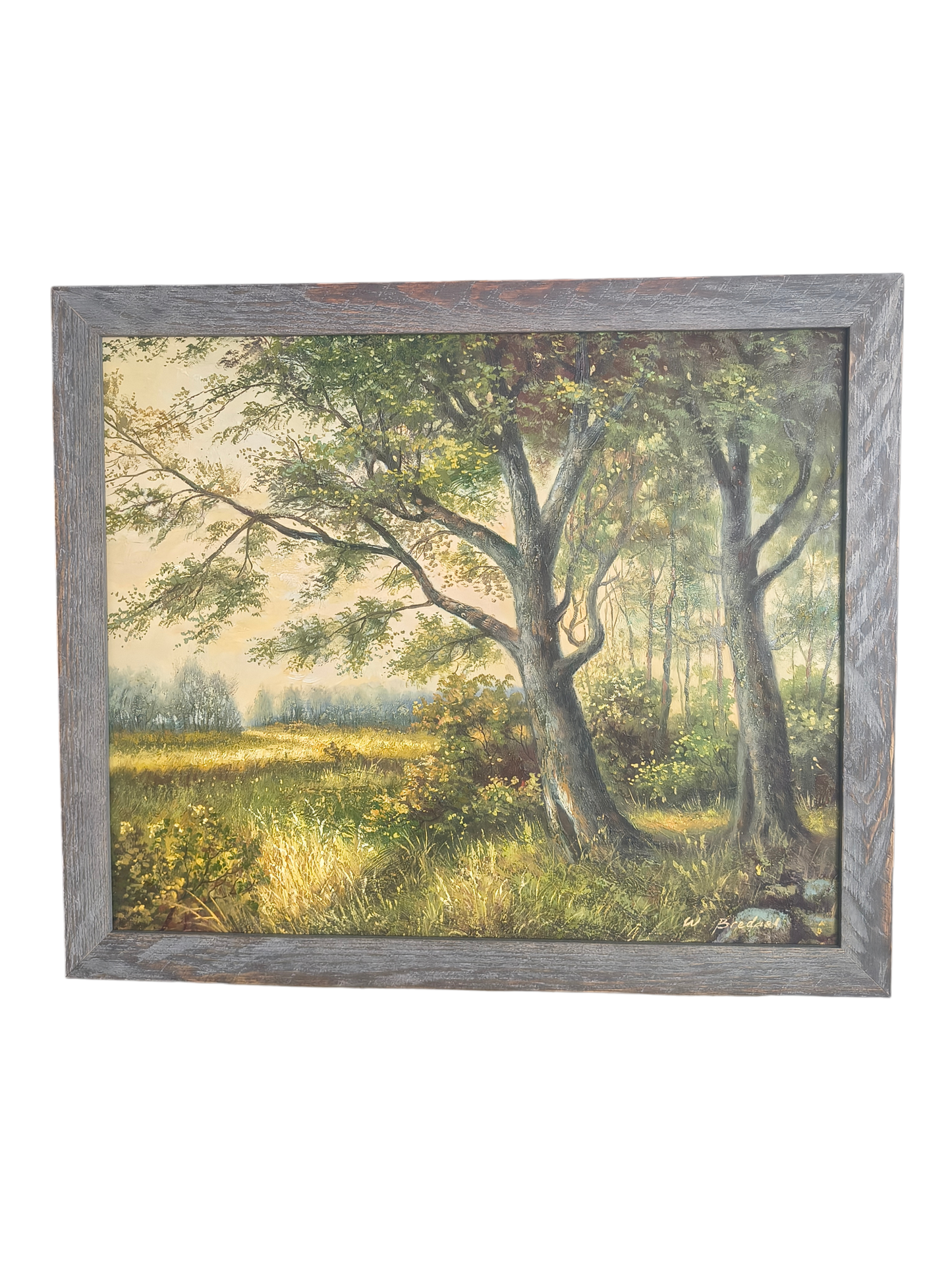 Poranek w Lesie – Słoneczna Polana