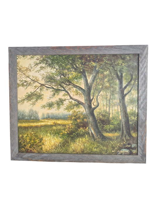 Poranek w Lesie – Słoneczna Polana